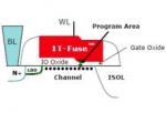 NVM memory: A Critical Design Consideration for IoT Applications